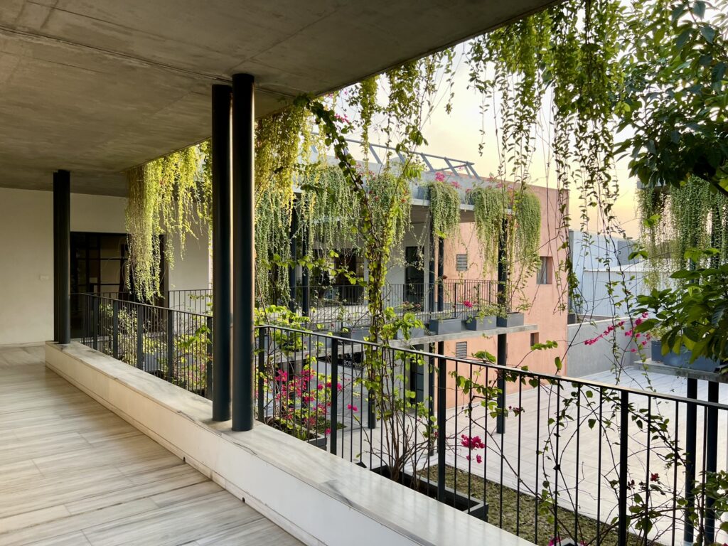 Creepers hanging from above at Toy Blocks Kindergarten in Ahmedabad