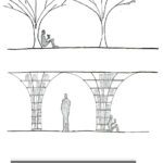 Library Design in Mumbai inspired by the canopy of trees- FoK Library by Studio Hinge