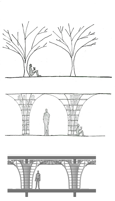 Library Design in Mumbai inspired by the canopy of trees- FoK Library by Studio Hinge