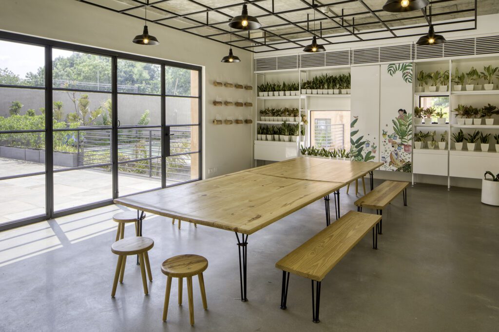 Herbarium inside Toy Blocks Playschool, Ahmedabad