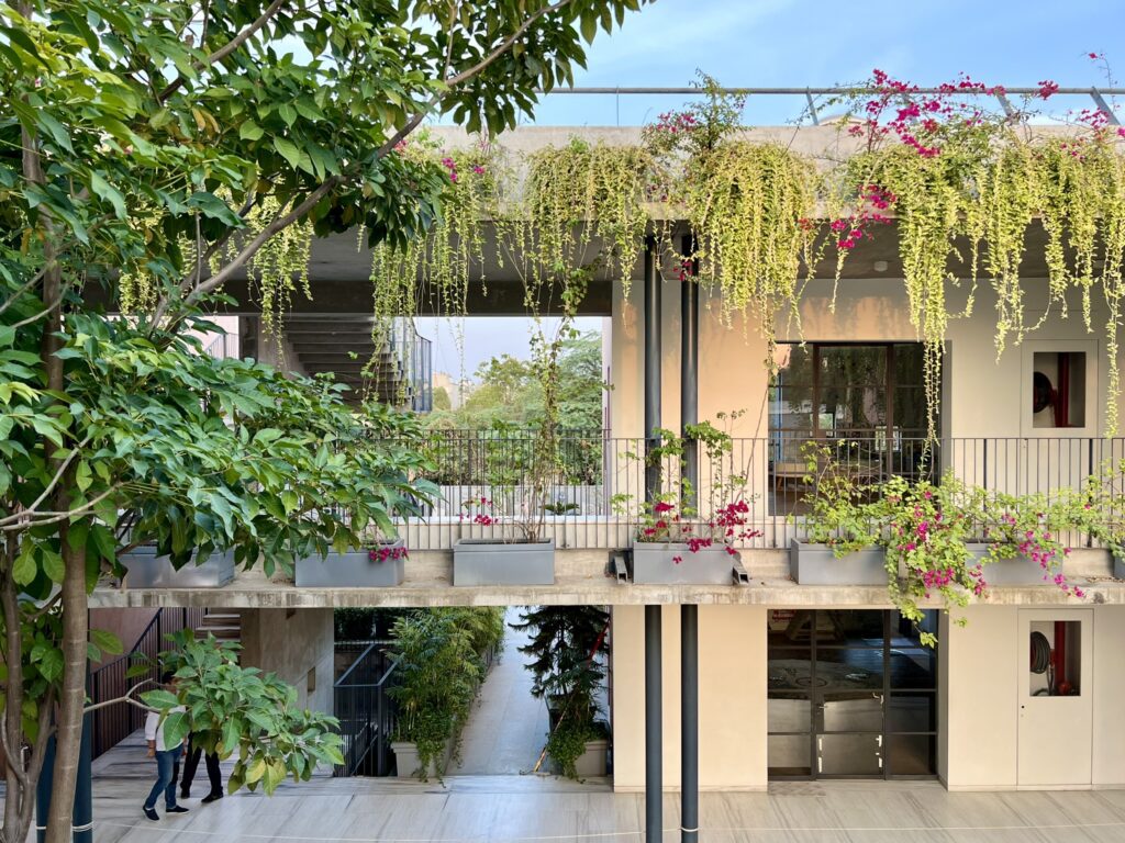 Creepers hanging from above at Toy Blocks Playschool, Ahmedabad by Blocher partners India featured on GLSN