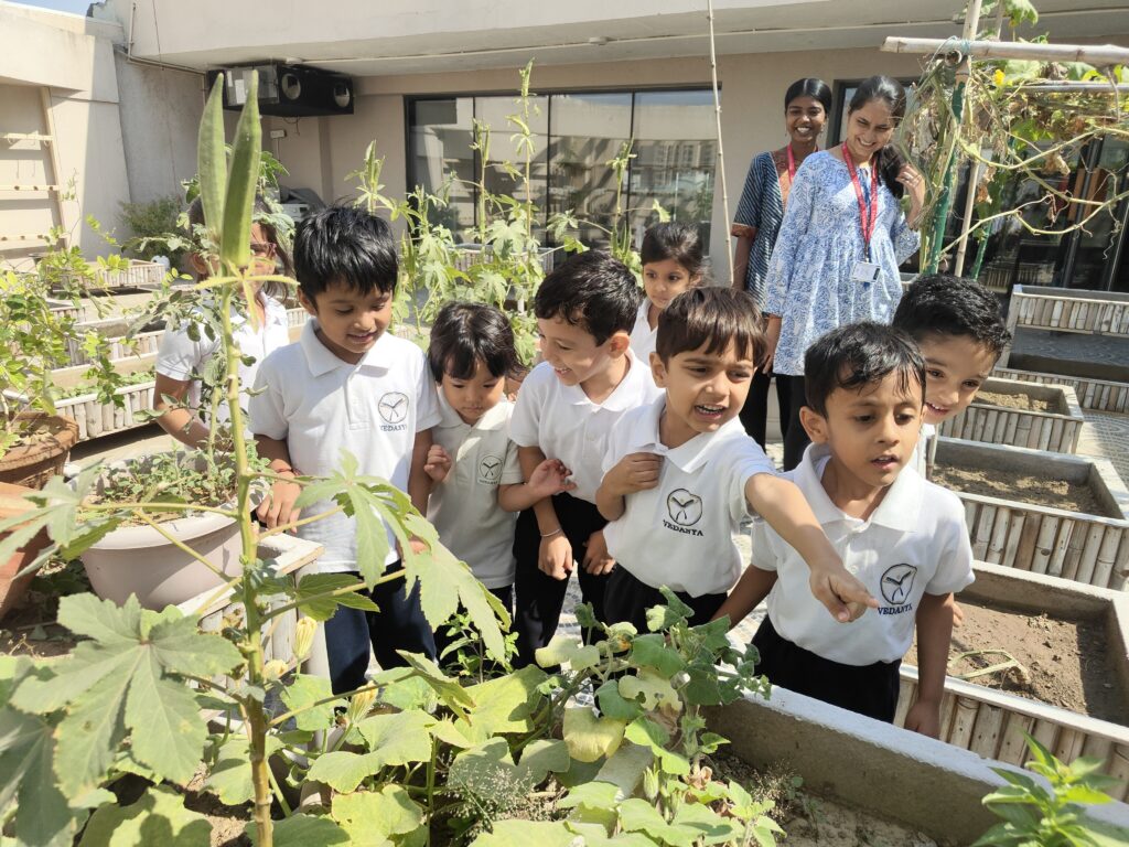 Vedanya School students take care of rooftop farm at their school.