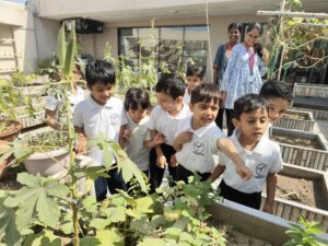 Vedanya School students take care of rooftop farm at their school.