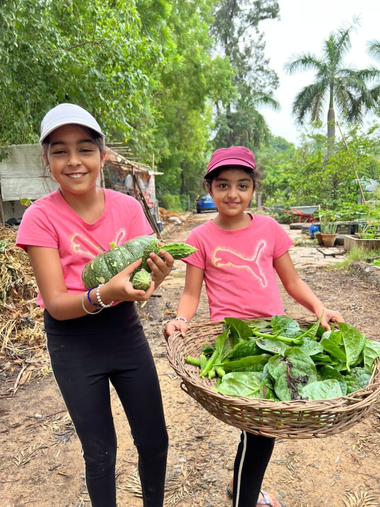 School Farms as Living Classrooms in India