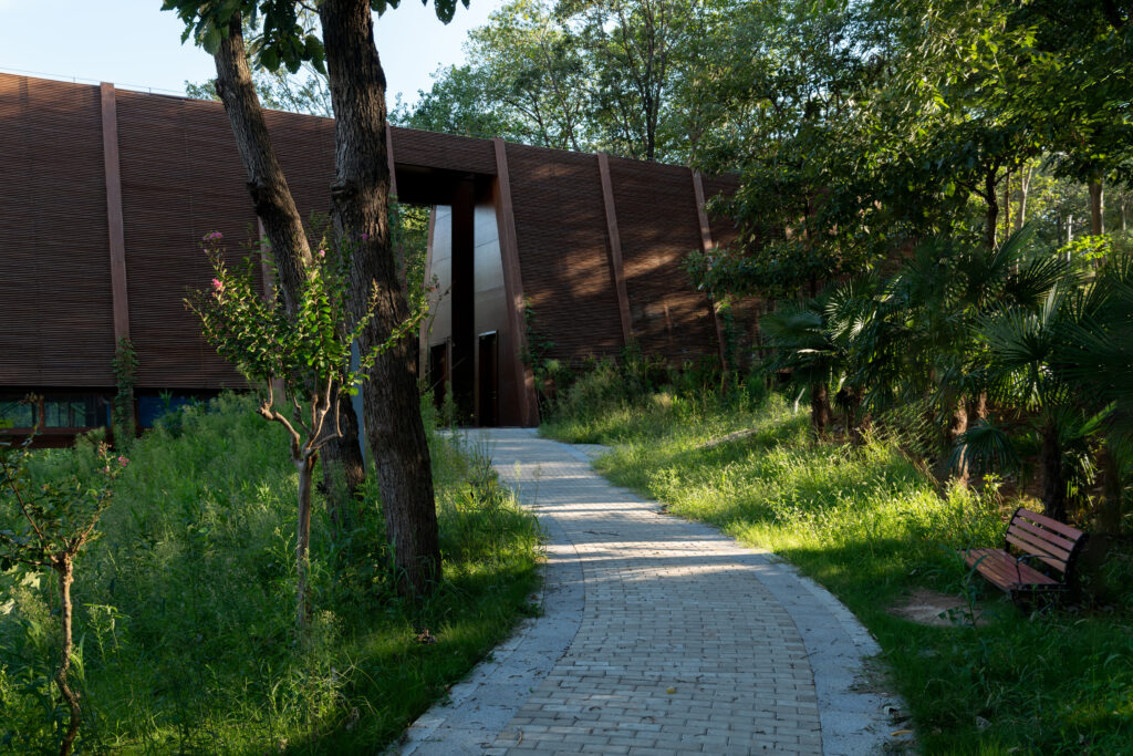 A view from the edge of a pond filled with lotus leaves, showing the library’s wooden frame and glass end facing the community park