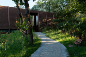 A view from the edge of a pond filled with lotus leaves, showing the library’s wooden frame and glass end facing the community park