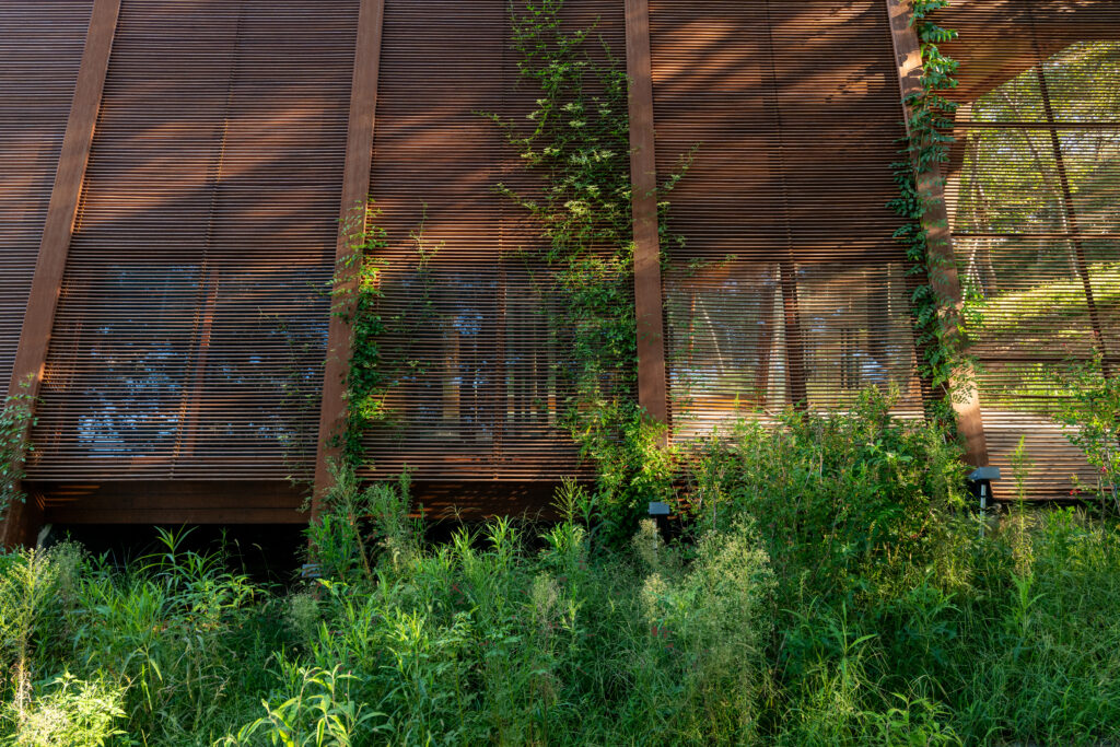 A view looking down stone steps toward the library building, with a person walking a dog, highlighting the project's focus on social exchange and park life