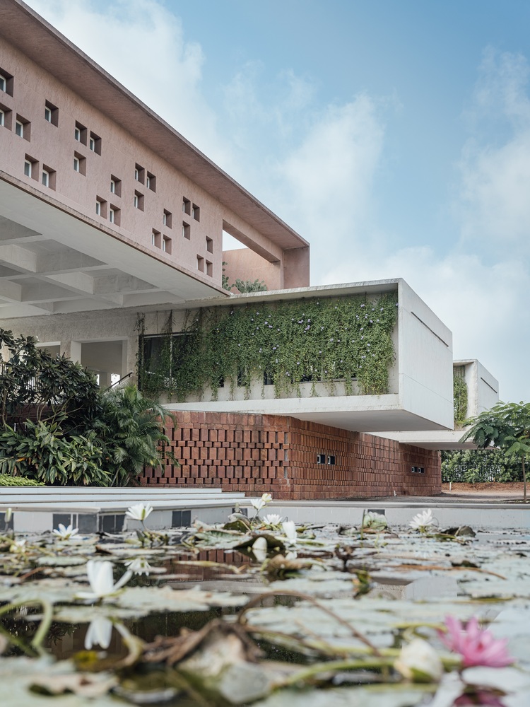 A ground-level shot of a blooming lotus pond in the foreground with the school’s stone and creeper-covered facade in the background