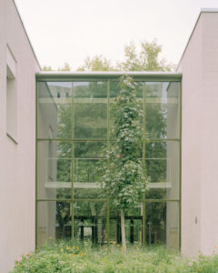 Exterior view of a tall glass facade connecting two building blocks, with a slender tree growing in the foreground and a mezzanine gallery visible inside