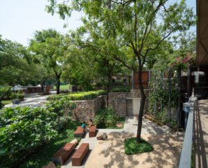 Looking out from an elevated walkway over the school courtyard. A man leans on the metal railing, looking down at the sandstone paths, native dry scrub plantings, and a fabric sunshade. In the background, modern school buildings with brick accents rise amongst mature green trees.
